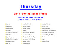 Thursday's photographed breed list