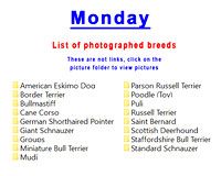 Monday photographed breeds