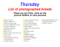 Thursday photographed breeds