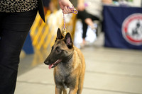 LR-02344