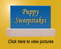 Puppy Sweepstakes