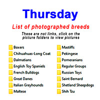 Thursday-breed list