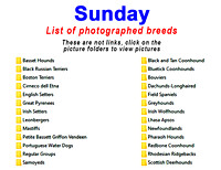 Sunday-breed list