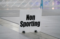 Non- Sporting