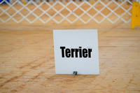 OH Terriers