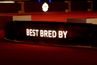 Bred By BIS-photos