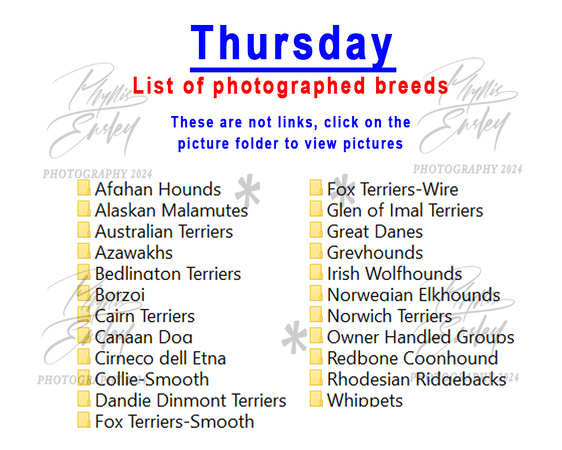 Thursday photographed breeds