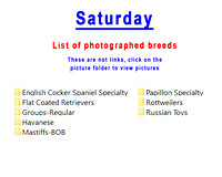 Saturday photographed breeds