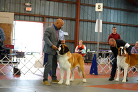 Saint Bernard