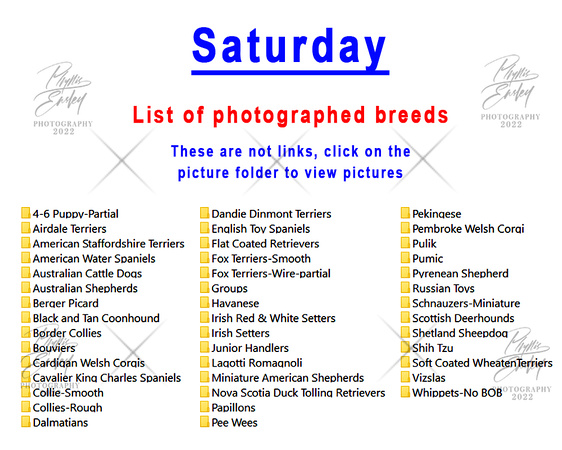 Saturday photographed breeds