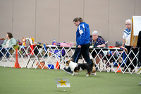 Photos of 973
