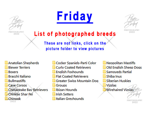 Friday photographed breeds