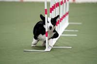 Agility