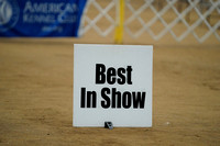 Best In Show