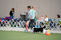 Photos of 981