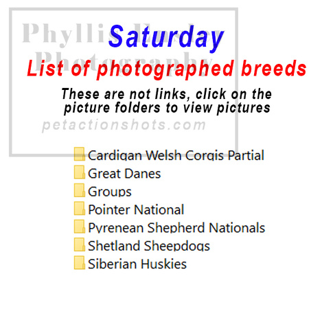 Saturday photographed breeds