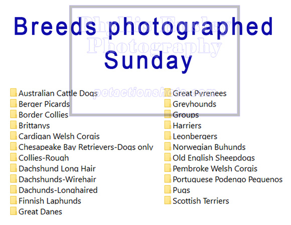 Sunday breeds