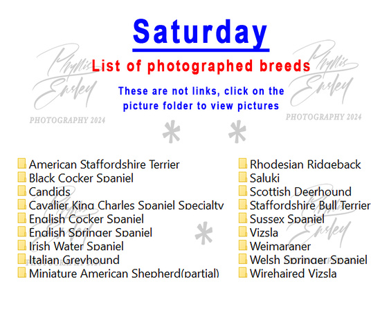Saturday photographed breeds