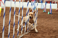 Agility