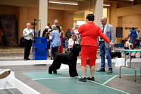 LR-03617