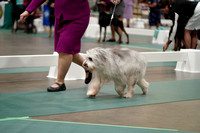 LR-04494