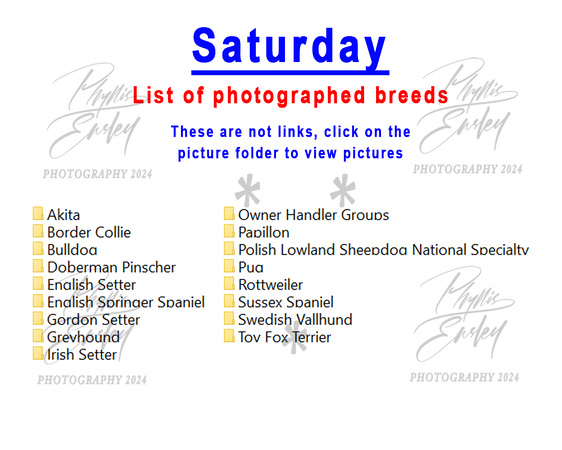 Saturday photographed breeds