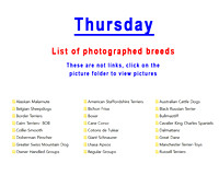 Thursday-photos