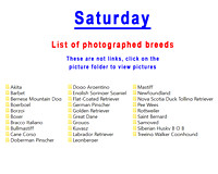 Saturday-breeds photographed list