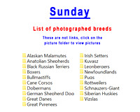 Breeds photographed