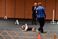 Obedience & Rally Trial 1
