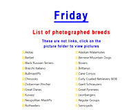Friday's photographed breed list