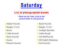 Saturday's  photographed breed list