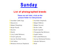 Sunday's photographed breed list