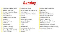 Sunday breeds taken list