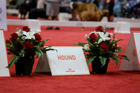 Hounds