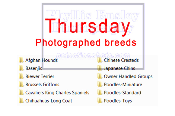 Thursday Breeds