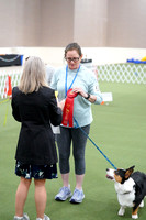 Photos of ribbons