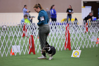 Photos of 926