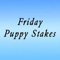 Friday Puppy Stakes