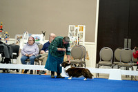 Dogs Group 7