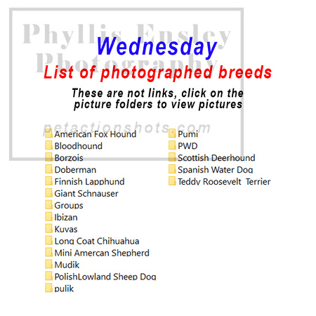 Wednesday photographed breeds