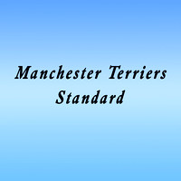 Manchester Terriers-Standard