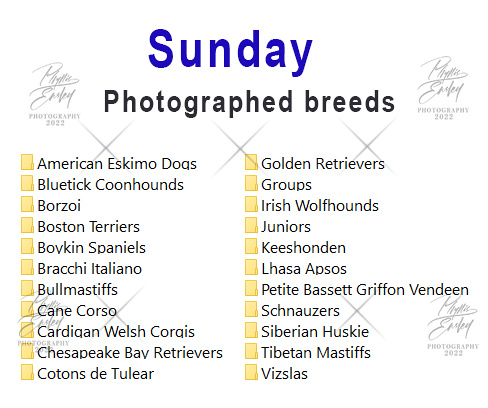 Sunday photographed breeds