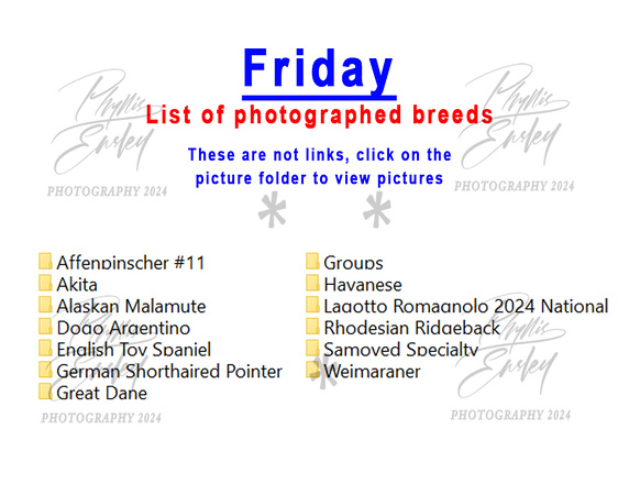 Friday photographed breeds