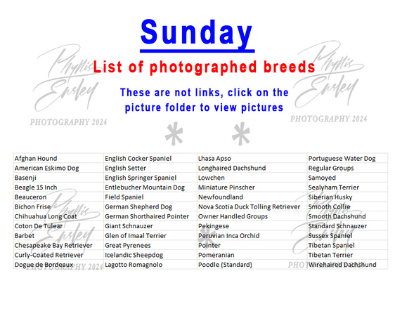 Sunday photographed breeds