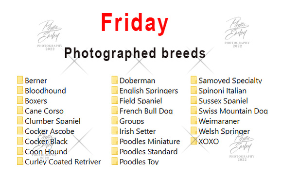 Friday photographed breeds