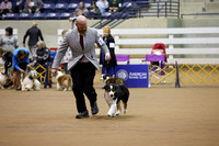 Herding