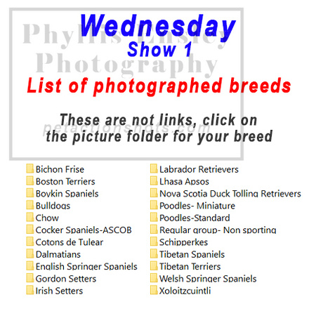 Wednesday show 1 breeds