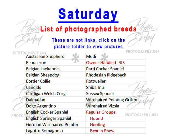 Saturday photographed breeds