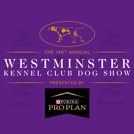 Westminster logo